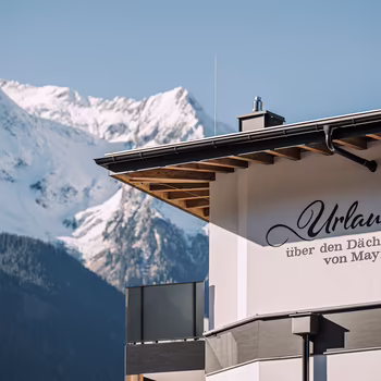 Platzhirsch in Mayrhofen